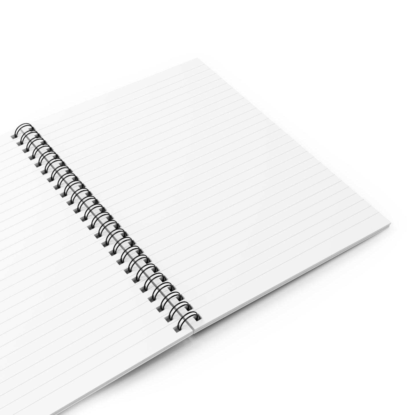 "I Attract Wealth Effortlessly" Journal